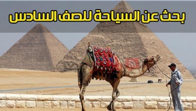 Photo of ” بنك المعرفة المصري ” بحث عن السياحة للصف السادس الابتدائي + تسليم البحث إلكترونيا