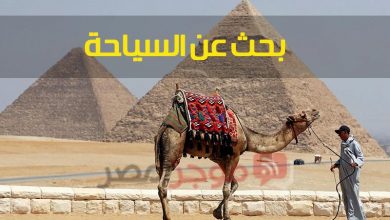 Photo of بحث عن السياحة للصف السادس الابتدائي “السياحة مستقبل مصر” كامل وجاهز