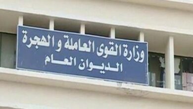 Photo of وزارة القوى العاملة : أجازة 30 يونيو مدفوعة الأجر للعاملين بالقطاع الخاص
