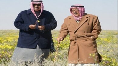 Photo of أكبر محمية طبيعية في الكويت