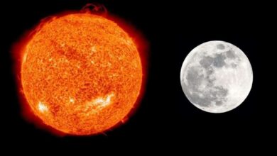 Photo of تفسير رؤية الشمس والقمر مجتمعين في المنام