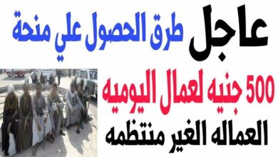 Photo of كشوفات أسماء المستحقين لصرف منحة العمالة الغير منتظمة أكتوبر ونوفمبر 2020