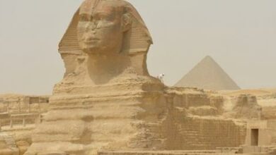 Photo of الأماكن السياحية في القاهرة وأهم المعالم الدينية والأثرية والترفيهية