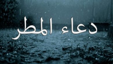 Photo of الدعاء تحت المطر في المنام للمتزوجة والعزباء والمطلقة لابن سيرين