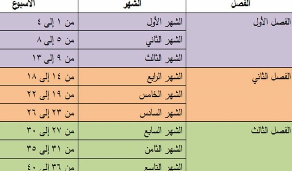 برنامج حساب الحمل بالاسابيع بالعربي وطريقة حساب الحمل الصحيحة