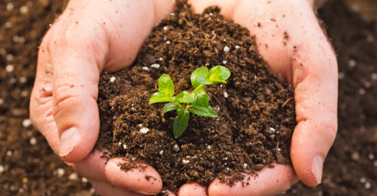 تأثير الإنسان على التربة السلبي والإيجابي وكيف يؤثر الإنسان على التربة؟