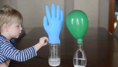 Photo of تجارب علمية بسيطة مكتوبة للأطفال ويمكن تنفيذها في المنزل