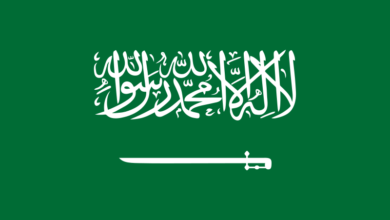Photo of ترمز النخلة في شعار المملكة العربية السعودية