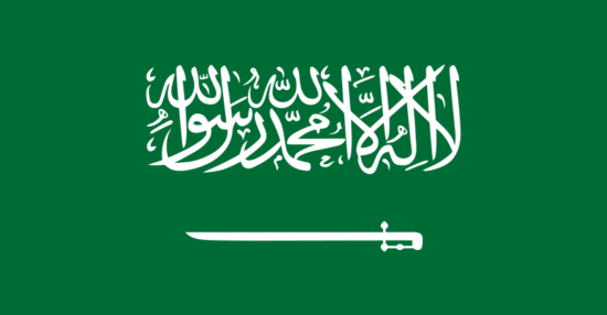 ترمز النخلة في شعار المملكة العربية السعودية
