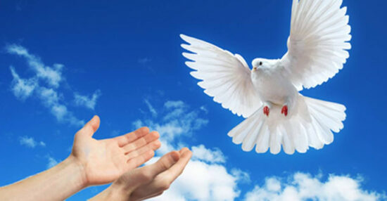 عبارات عن يوم السلام العالمي وما هو مفهوم السلام