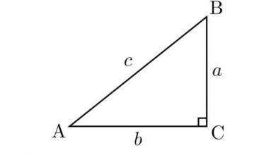 Photo of قانون الوتر في مثلث قائم الزاوية وأهم الأمثلة التطبيقية عليه والحل