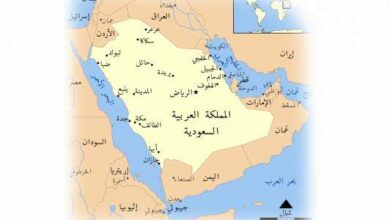 Photo of كم تبعد الطائف عن الرياض؟ وأفضل المناطق السياحية بالطائف