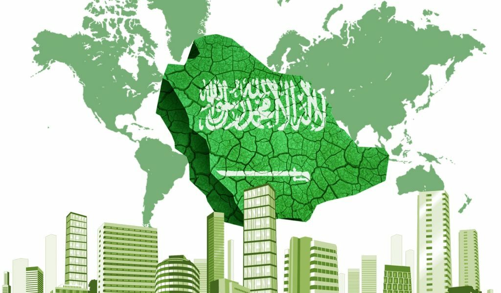 متوسط دخل الفرد السعودي في الأعوام الماضية وفي المستقبل