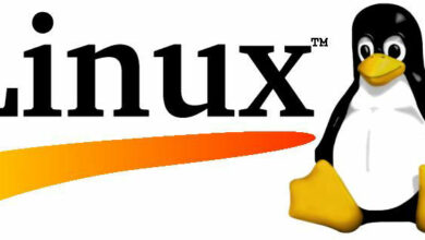 Photo of نظام تشغيل يعد له الفضل في انتشار مفهوم المصادر وأهم مميزات نظام تشغيل لينوكس