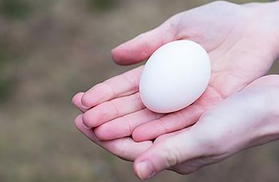 إعطاء بيض في المنام لابن سيرين والنابلسي