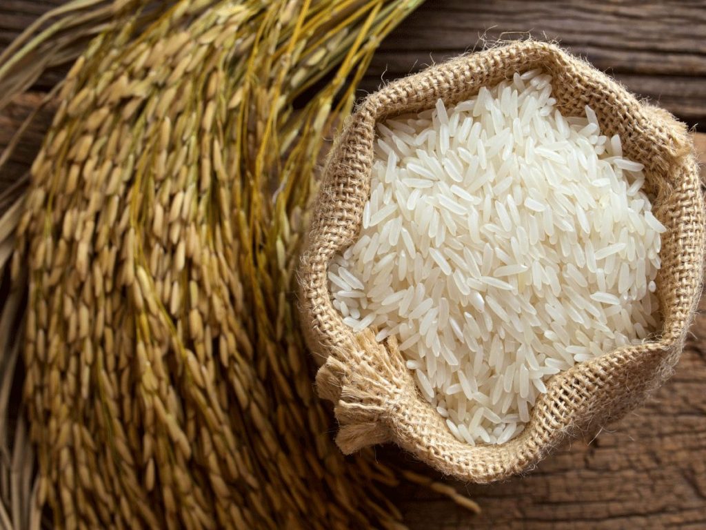 تفسير حلم الأرز غير المطبوخ في المنام للعزباء والحامل والمتزوجة تفسير الامام الصادق