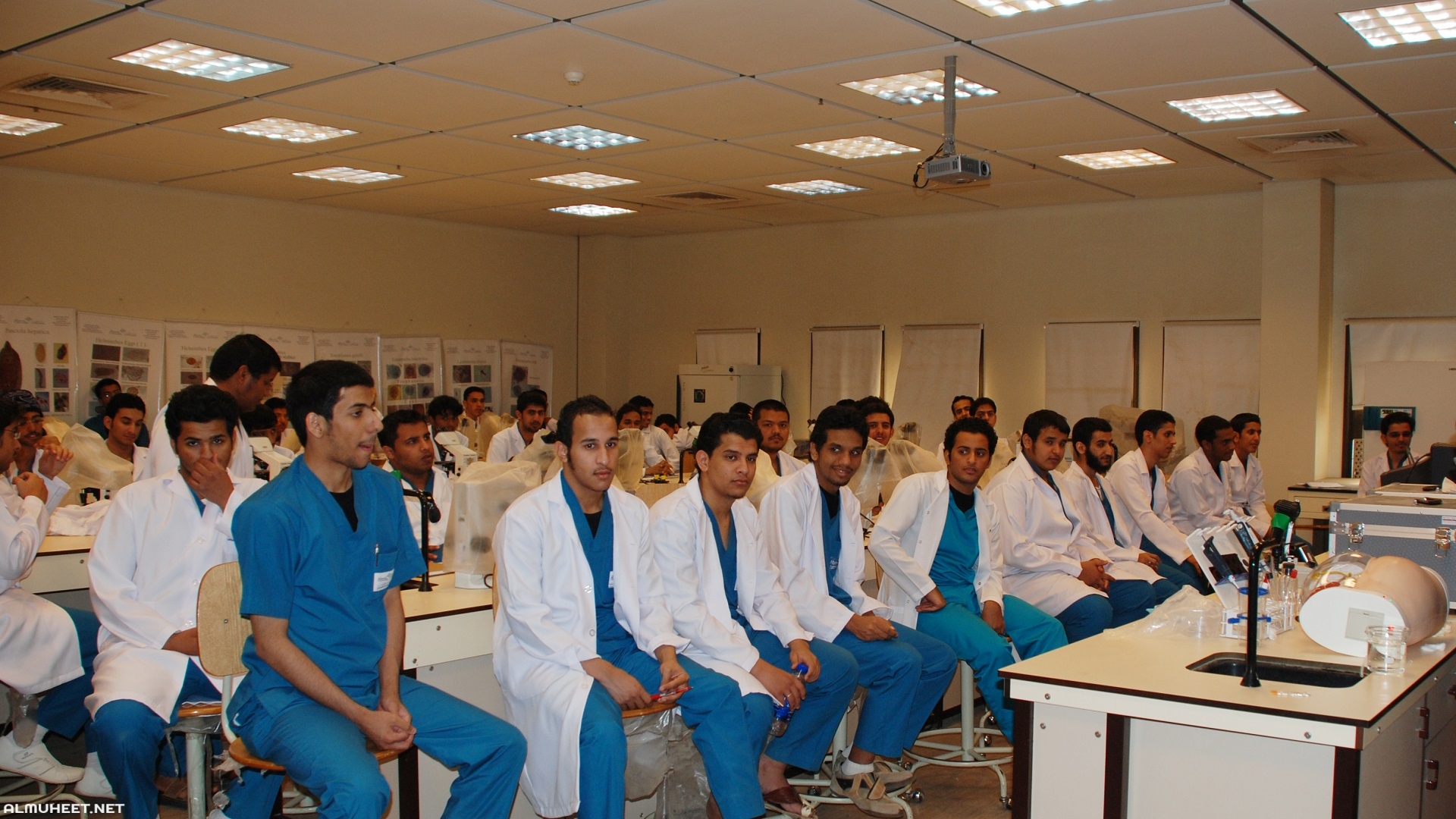كم عدد الاطباء في السعودية
