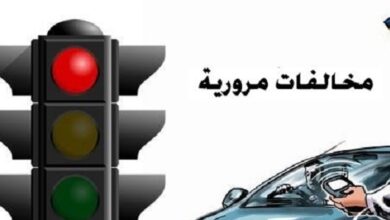 Photo of الخط الساخن لمعرفة مخالفات المرور في مصر برقم الرخصة