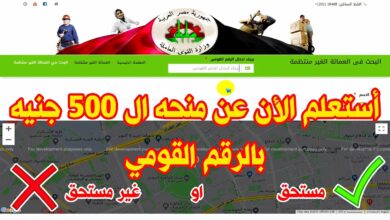 Photo of الاستعلام عن منحة الـ500 جنيه للعمالة الغير منتظمة بالرقم القومي في جميع محافظات مصر