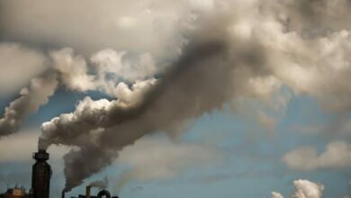 Photo of بحث عن التلوث البيئي مع مقدمة وخاتمة ومراجع