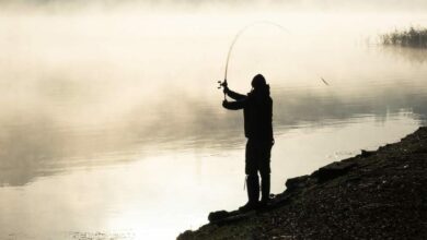 Photo of تفسير حلم صيد السمك بالسنارة أو الشبكة ومعنى إمساك الأسماك في الحلم