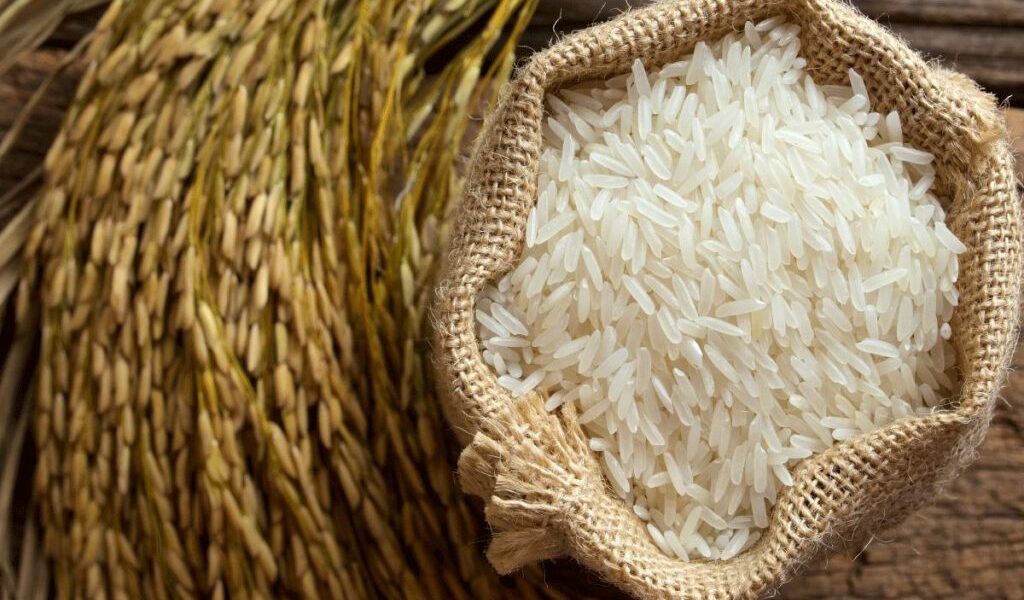 تفسير رؤية الأرز في المنام المطبوخ وغير المطبوخ والأصفر للعزباء والمتزوجة