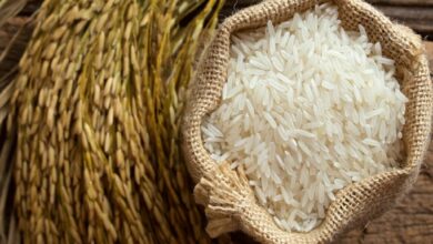Photo of تفسير رؤية الأرز في المنام المطبوخ وغير المطبوخ والأصفر للعزباء والمتزوجة