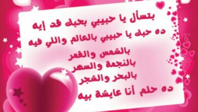 Photo of رسائل حب وغرام مصرية للمتزوجين في الصباح والمساء
