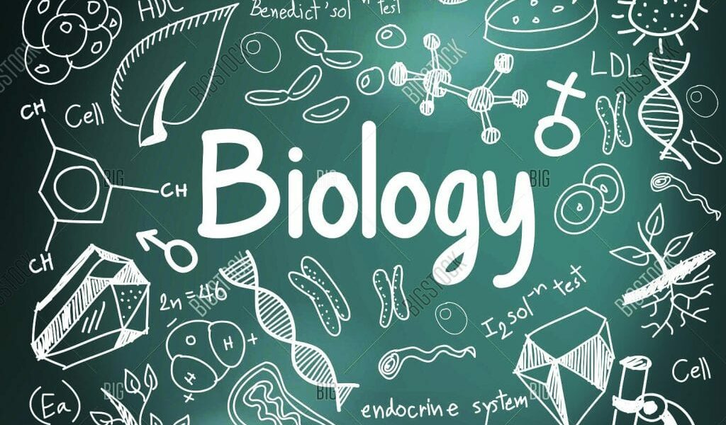 مجالات العمل في تخصص البيولوجيا وفروع تخصص البيولوجيا