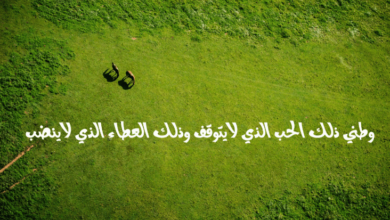 Photo of موضوع تعبير عن حب الأوطان من الإيمان بالعناصر