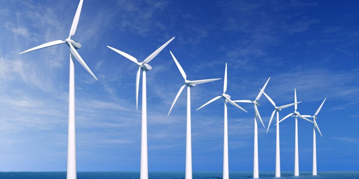 نوع من الطاقة المتجددة وما هي الطاقة المتجددة؟ والوقود الحيوي المستدام