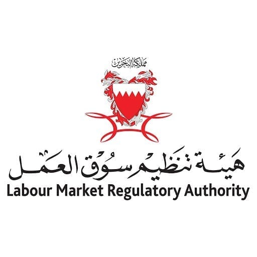 هيئة تنظيم سوق العمل واستراتيجيات هيئة تنظيم سوق العمل