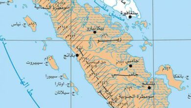 Photo of أين تقع جزيرة الكنز؟: ملخص رواية جزيرة الكنز وشخصياتها وفكرتها