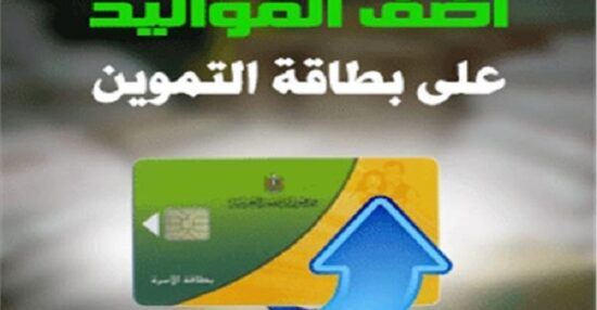بوابة مصر الرقمية 2021 digital.gov.eg إضافة المواليد الجدد على بطاقة التموين بالرقم القومي