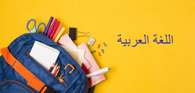أنواع الجموع في اللغة العربية وأمثلة عليها