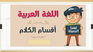 Photo of اقسام الكلمة في اللغة العربية وما هو تعريف الكلمة