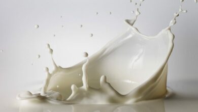 فوائد الحليب للشعر والحليب المناسب لكل نوع شعر