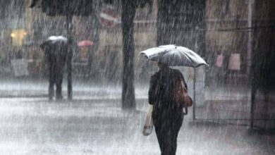 Photo of حالة الطقس اليوم في محافظة الاسكندرية وتساقط أمطار غدًا الخميس 4-3-2021