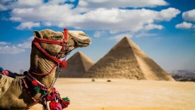 Photo of مميزات السياحة في مصر وأفضل 15 مكان سياحي