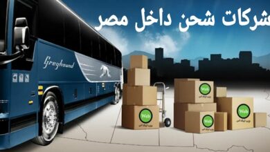 Photo of أفضل شركات الشحن داخل مصر وأسعارها وطرق التواصل معها عبر الموقع الالكتروني