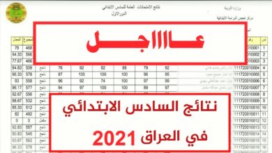 Photo of موقع وزارة التربية والتعليم نتائج السادس الابتدائي العراق 2021 موقع نتائجنا