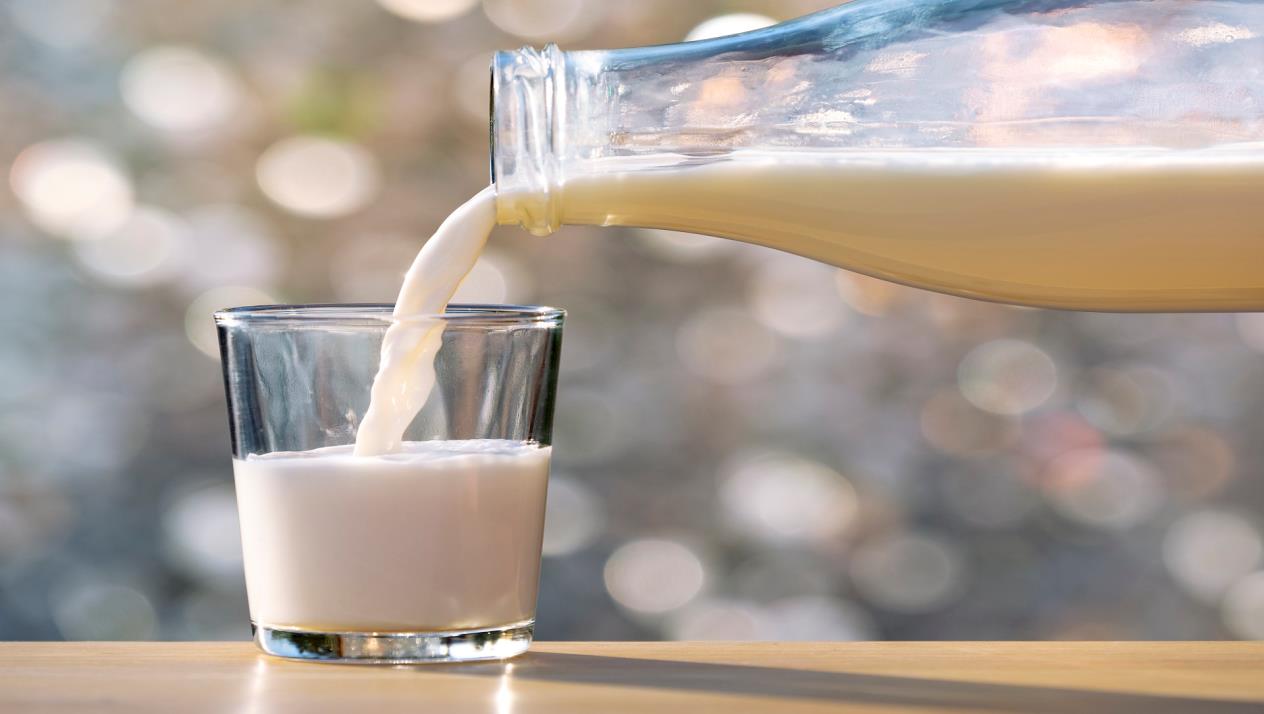 تفسير حلم الحليب للعزباء - موجز مصر