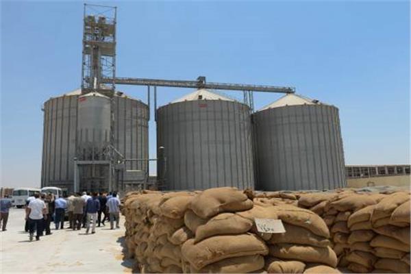 احتياطيات مصر من القمح تكفي لأكثر من 5 أشهر