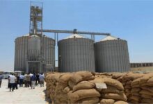 Photo of احتياطيات مصر من القمح تكفي لأكثر من 5 أشهر
