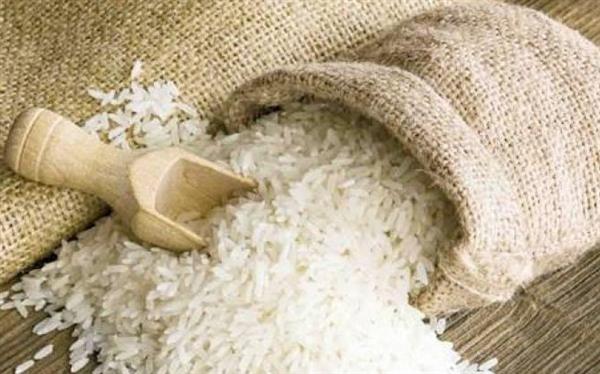 قرار جديد للحكومة المصرية بشأن الأرز