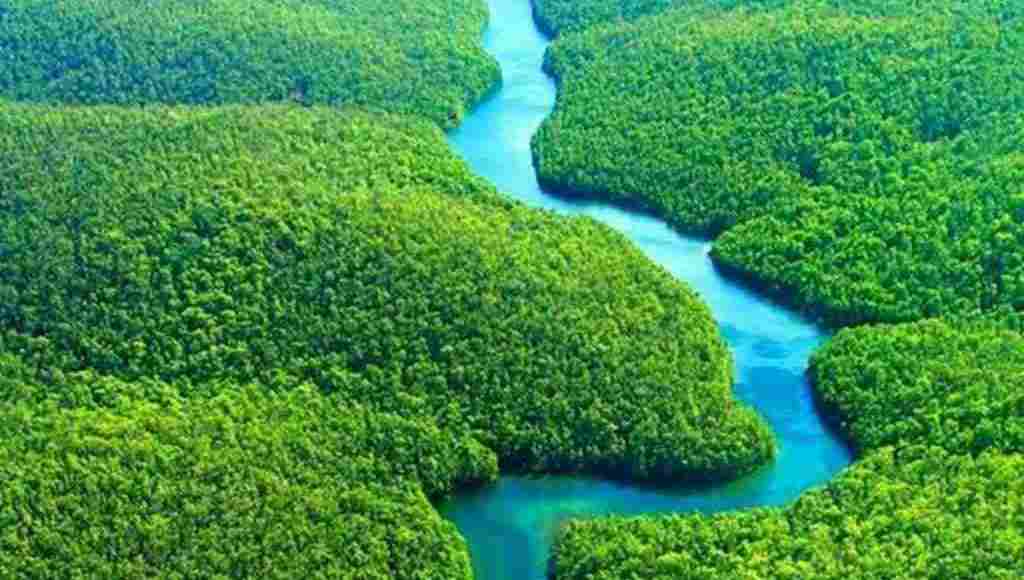 أين تقع غابات الأمازون