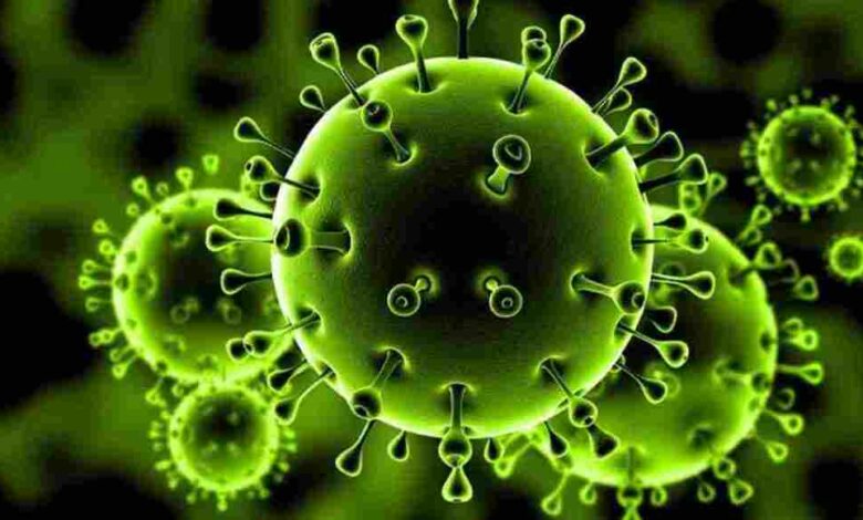 تقرير عن فيروس كورونا المستجد كوفيد 19