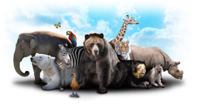 كم عدد الحيوانات الموجودة في العالم