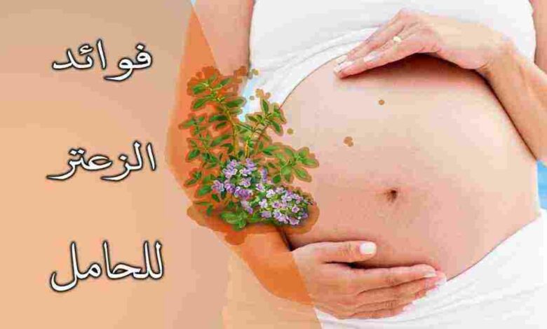 فوائد الزعتر للحامل
