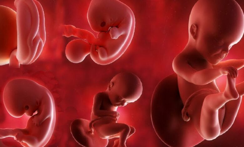 هل يتأثر شكل الجنين بما تراه الأم الحامل؟